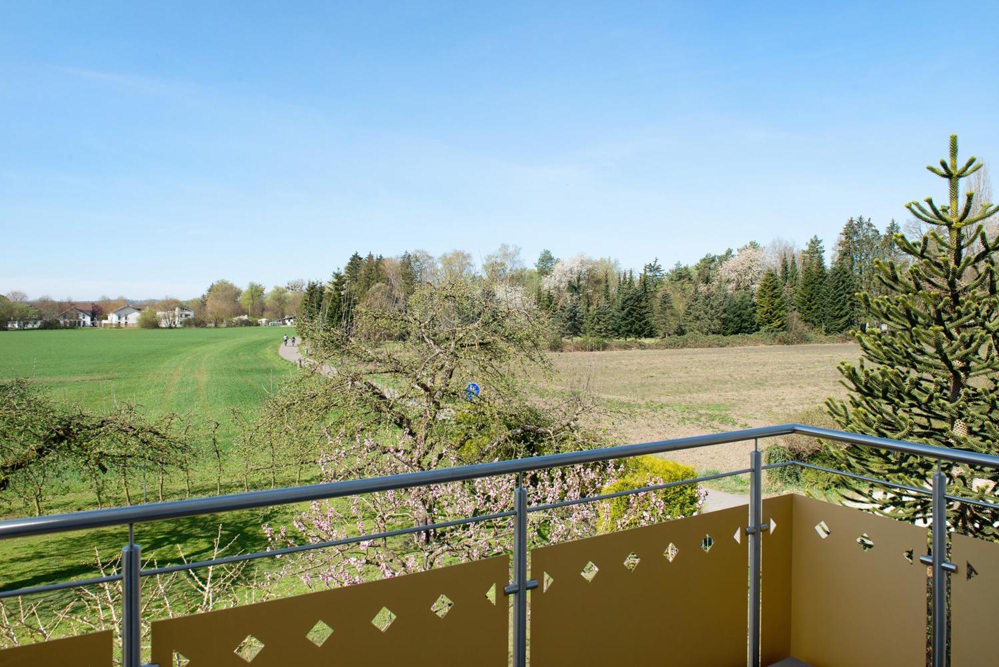 Enderle Apartment Uhldingen-Mühlhofen Екстериор снимка